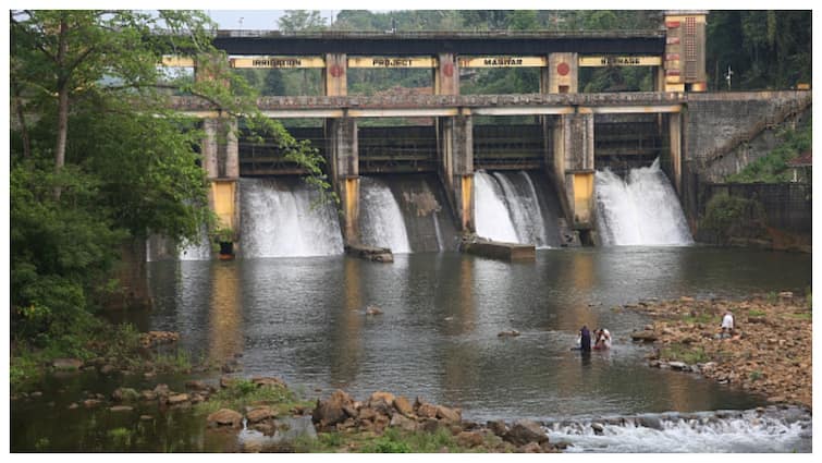 From Dry Fields To Reaping Crops: Why India Stopped Flow Of Ravi Water To Pakistan — Explained From Dry Fields To Reaping Crops: Why India Stopped Flow Of Ravi Water To Pakistan — Explained