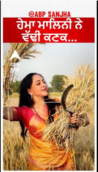 Hema Malini harvests wheat crop |ਹੇਮਾ ਮਾਲਿਨੀ ਨੇ ਵੱਢੀ ਕਣਕ...