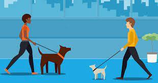 Swiggy Introduces Paw-ternity Policy For Employee Pet Care Support Leave For Pet:  ਲਓ ਜੀ ਹੁਣ ਜਾਨਵਰ ਪਾਲੋ 'ਤੇ ਹਰ ਮਹੀਨੇ ਲਵੋ ਵਾਧੂ ਛੁੱਟੀਆਂ,  ਭਾਰਤ 'ਚ ਵਿਲੱਖਣ ਛੁੱਟੀ ਨੀਤੀ ਲਾਗੂ  
