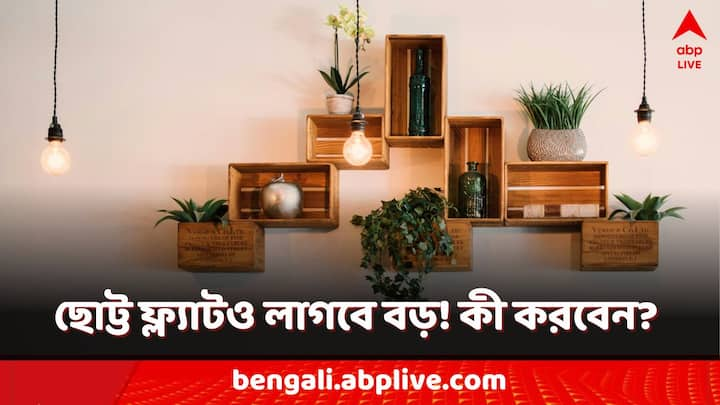 Home Decor Space Managment:ছোট ফ্ল্যাটও সাজিয়ে তোলা যায় নানাভাবে। সাজানোর গুণেই একেবারে বদলে যাবে চেহারা