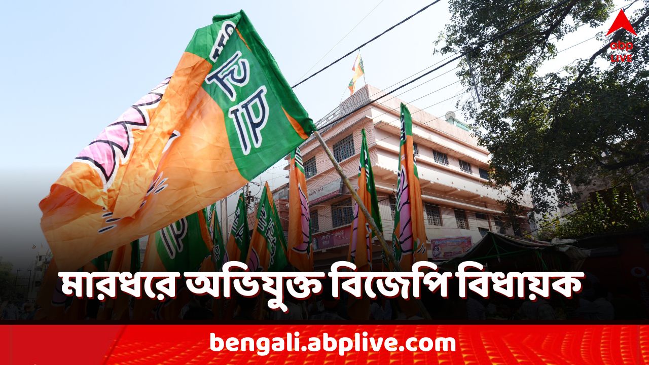 Lok Sabha Election 2024: ব্যবসায়ীকে 'মারধর' বিজেপি বিধায়কের! সিসিটিভি ফুটেজ নিয়ে নালিশ