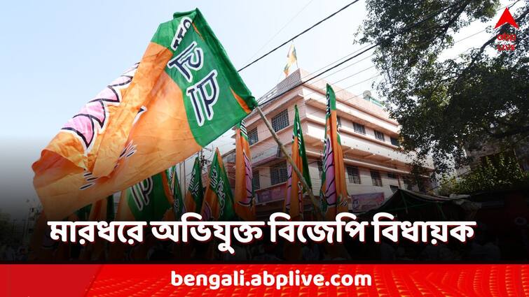 Lok Sabha Election 2024 Hooghly Khanakul BJP mla accused for attacking a Businessman TMC slams BJP Lok Sabha Election 2024: ব্যবসায়ীকে 'মারধর' বিজেপি বিধায়কের! সিসিটিভি ফুটেজ নিয়ে নালিশ