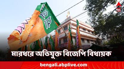 Lok Sabha Election 2024 Hooghly Khanakul BJP mla accused for attacking a Businessman TMC slams BJP Lok Sabha Election 2024: ব্যবসায়ীকে মারধর বিজেপি বিধায়কের! সিসিটিভি ফুটেজ নিয়ে নালিশ