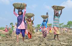West Bengal Weather Update : আজ বিকেলেও বৃষ্টি কোন কোন জেলায় ? কোথায় কোথায় চড়বে তাপমাত্রা?