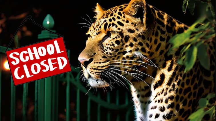 Ariyalur Schools Declared Holiday After Leopard Scare Schools Holiday: தொடர்ந்து அச்சுறுத்தும் சிறுத்தை! அரியலூரில் அனைத்து பள்ளிகளுக்கும் விடுமுறை