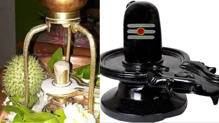 নিয়ম অনুসারে এদিন নির্জলা উপবাস করতে হয়। অনেকের অভিমত, সন্ধে অবধি অপেক্ষআ করা না গেলে দুপুর ১২ টা অবধি অপেক্ষা করে দেবাদিদেবকে জল নিবেদন করে ব্রত উদযাপন করা যায়।