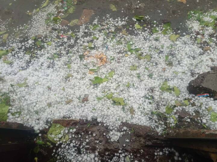 Unseasonal rain on second day in Beed district  Heavy loss of mangoes watermelons and vegetables Maharashtra Marathi News Beed Unseasonal Rain : बीड जिल्ह्यात दुसऱ्या दिवशीही अवकाळीचे थैमान, शेतकऱ्यांच्या हातातोंडाशी आलेला घास हिरावला!