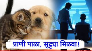 घरात पाळीव प्राणी असल्यास मिळणार भरघोस सुट्ट्या, आता कर्मचाऱ्यांची मज्जाच मज्जा!