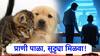 घरात पाळीव प्राणी असल्यास मिळणार भरघोस सुट्ट्या, आता कर्मचाऱ्यांची मज्जाच मज्जा!