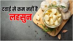 Garlic Benefits: हाई बीपी और कोलेस्ट्रॉल कंट्रोल करने में रामबाण है लहसुन, जबरदस्त हैं इसके फायदे