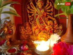 Chaitra Navratri 2024: नवरात्रि में मां दुर्गा को चढ़ाएं ये 4 फूल, हर मनोकामना होगी पूर्ण