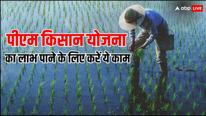 PM Kisan Samman Nidhi Yojana Installment: प्रधानमंत्री किसान सम्मान निधि योजना का लाभ पाने के लिए आप तुरंत ई-केवाईसी और जमीन का सत्यापन करा लें.