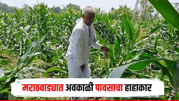 Marathwada Unseasonal Rain Four people died Loss of crops  Chhatrapati Sambhaji Nagar Parbhani Jalna Nanded Hingoli Beed Unseasonal rain in district marathi news Marathwada Unseasonal Rain : मराठवाड्यात अवकाळी पावसाचा हाहाकार, चौघांचा मृत्यू; शेकडो हेक्टरवरील पिकांचे नुकसान