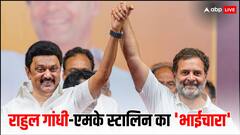 राहुल ने खरीदी मैसूर पाक मिठाई तो भावुक हो गए 'भाई' एमके स्टालिन, ट्वीट कर कही दिल की बात