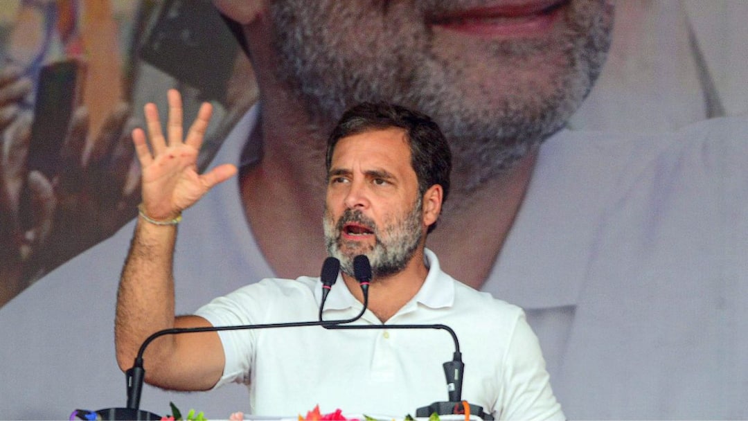 'What Has PM Modi Done For OBCs': Rahul Gandhi In Maharashtra Doubles Down On Caste Census Pitch Lok Sabha Election 2024 Rahul Gandhi Maharashtra BJP PM Modi Govt OBC Caste Census Farmers Loans Waiver 'What Has PM Modi Done For OBCs': Rahul Gandhi In Maharashtra Doubles Down On Caste Census Pitch
