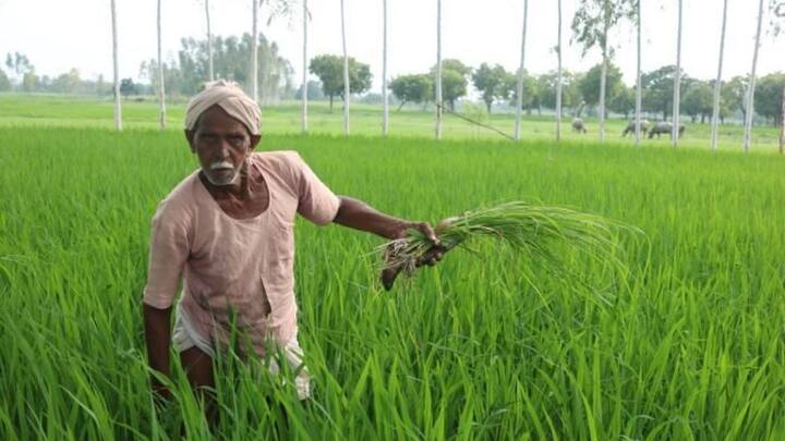 अगर आपने प्रधानमंत्री किसान सम्मान निधि योजना का आवेदन देते समय कुछ जानकारी गलता भरी है. जैसे नाम, या गलत जेंडर, आधार कार्ड नंबर. या फिर आपने खाते की जानकारी में कुछ गलती कर दी है. तो फिर आपकी अगली किस्त रुक सकती है.