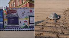 घोड़ा-गाड़ी तो ठीक है अब कछुए की मदद ले रहा चुनाव आयोग, जानें पूरा मामला