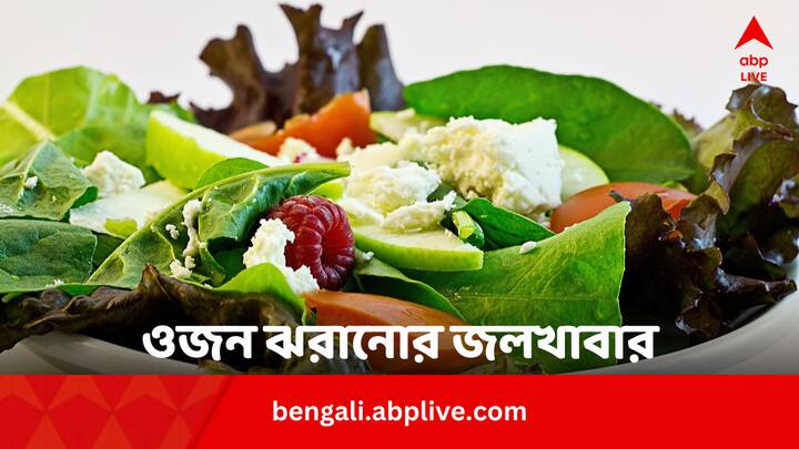 Healthy Breakfast For Weight Loss: ওজন কমাতে চাইলে খাবার বুঝে শুনে খেতে হয়। সকালের জল খাবারে কিছু খাবার রাখলে আর চিন্তা নেই।