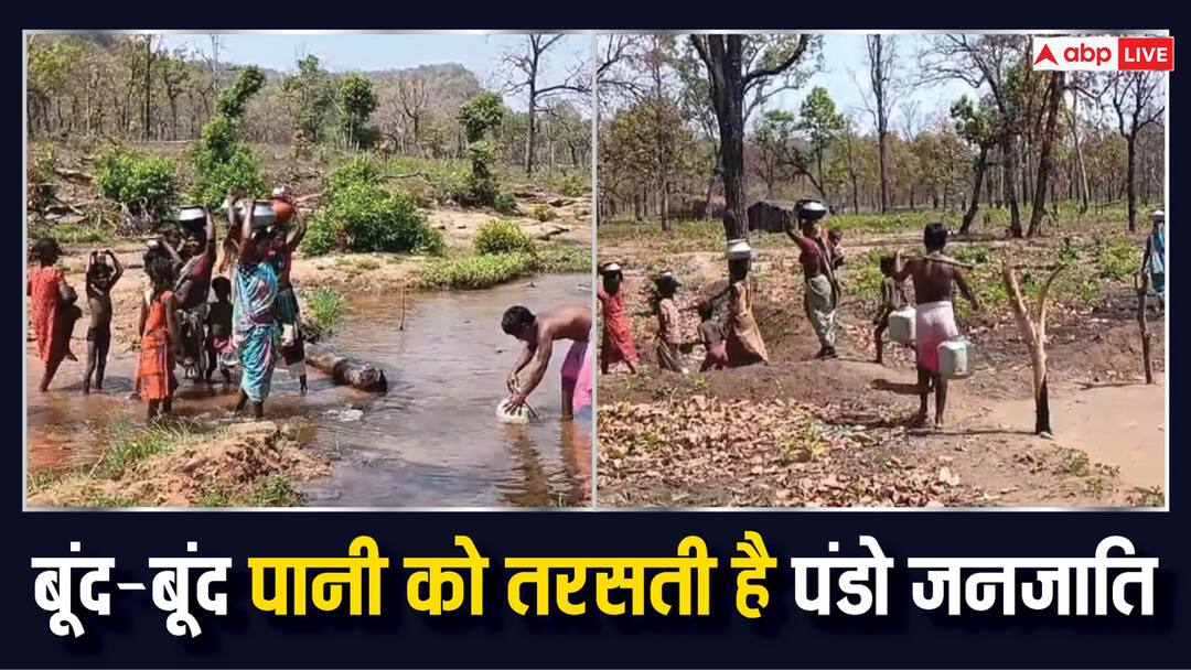 Pando tribe in Surajpur craves for everything from drinking water to electricity health and education ann Chhattisgarh: जीने के लिए संघर्ष करने को मजबूर पंडो जनजाति, पीने के पानी से लेकर बिजली, स्वास्थ्य, शिक्षा को तरसे लोग