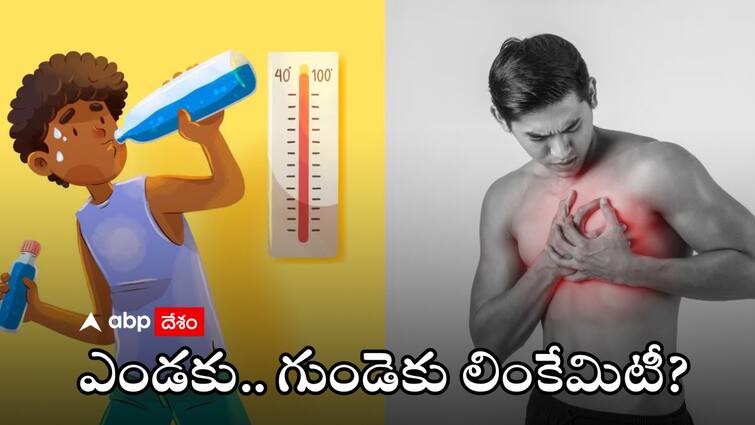 Can Heatwaves Cause Heart Attacks Here’s How to Protect Your Heart During Summer Months Heart Attack in Summer: ఎండ దెబ్బ‌కు హార్ట్ ఎటాక్‌ వస్తుందా? ఎలాంటి జాగ్రత్తలు తీసుకోవాలి?