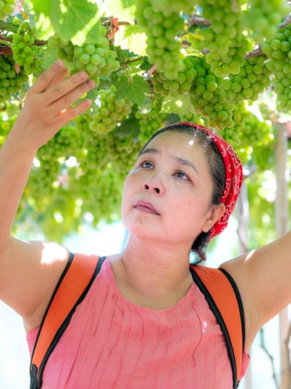 एक घंटे में 16 हजार रुपये कमाती है यह महिला, जानें कैसे?