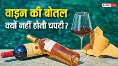 Wine Bottle: वाइन की बोतल नीचे से क्यों नहीं होती चपटी, जानिए बोतल के बेस पर गड्ढा होने के पीछे का साइंस