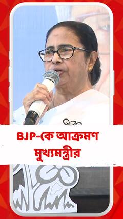 'ওই বিজেপি নেতারা একটা পাঞ্জাবি পুলিশ, মাথায় পাগড়ি পরে, তাকে বলল খালিস্তানি', আক্রমণ মুখ্যমন্ত্রীর