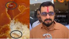 Amol Kolhe : गरोदर महिलांच्या पोषण आहारात अळ्या; अमोल कोल्हेंनी सरकारला धारेवर धरलं; म्हणाले नक्की पोषण नक्की कोणाचं सुरुय?