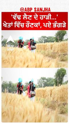 Sangrur Vasakhi 2024| 'ਵੱਢ ਲੈਣ ਦੇ ਹਾੜੀ...'-ਖੇਤਾਂ ਵਿੱਚ ਰੌਣਕਾਂ, ਪਏ ਭੰਗੜੇ