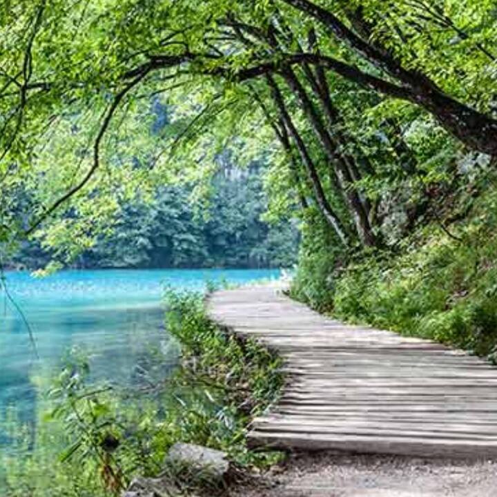 ਜੇਕਰ ਜਾਪਾਨੀ ਭਾਸ਼ਾ ਵਿੱਚ ਸਮਝਿਆ ਜਾਵੇ ਤਾਂ ਸ਼ਿਰੀਨ ਯੋਕੂ ਦਾ ਮਤਲਬ ਹੈ ਕਿ ਕਿਤੇ ਜੰਗਲਾਂ ਵਿੱਚ ਭਾਵ ਕੁਦਰਤ ਦੇ ਵਿਚਕਾਰ ਸਮਾਂ ਬਿਤਾਉਣਾ। ਜਦੋਂ ਤੁਸੀਂ ਆਪਣੀ ਰੁਝੇਵਿਆਂ ਭਰੀ ਜ਼ਿੰਦਗੀ ਵਿੱਚ ਬੋਝ ਮਹਿਸੂਸ ਕਰਨ ਲੱਗਦੇ ਹੋ ਜਾਂ ਤੁਸੀਂ ਛੋਟੀਆਂ-ਛੋਟੀਆਂ ਗੱਲਾਂ ਤੋਂ ਪਰੇਸ਼ਾਨ ਹੋਣ ਲੱਗਦੇ ਹੋ, ਤਾਂ ਸਭ ਤੋਂ ਵਧੀਆ ਹੁੰਦਾ ਹੈ ਕਿ ਤੁਸੀਂ ਆਰਾਮ ਕਰੋ ਅਤੇ ਪਹਾੜਾਂ ਜਾਂ ਕਿਸੇ ਹਰੇ ਭਰੇ ਸਥਾਨ 'ਤੇ ਜਾਓ ਅਤੇ ਉੱਥੇ ਦੀਆਂ ਵਾਦੀਆਂ ਵਿੱਚ ਆਪਣੇ ਆਪ ਨੂੰ ਪੂਰੀ ਤਰ੍ਹਾਂ ਸ਼ਾਮਲ ਕਰੋ। ਜ਼ਿਆਦਾ ਸੋਚਣ, ਤਣਾਅ ਆਦਿ ਤੋਂ ਬਚਣ ਦਾ ਇਹ ਵਧੀਆ ਤਰੀਕਾ ਹੈ।