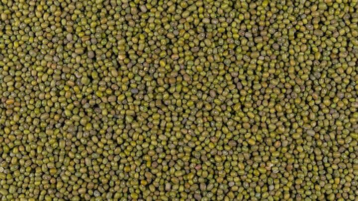 अंकुरित मूंग में कॉम्प्लेक्स न्यूट्रिएंट्स होते हैं. जो पाचन को बेहतर बनाती है. इसमें कई अच्छे और हेल्दी एंजाइम्स होते हैं. जो पेट और गट हेल्थ दोनों के लिए फायदेमंद होता है. बाउल मूवमेंट सही रहता है.