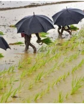 ਵਿਸਾਖੀ ਮੌਕੇ ਕਈ ਸੂਬਿਆਂ 'ਚ ਗੜੇਮਾਰੀ ਸਣੇ ਮੀਂਹ ਦੀ ਸੰਭਾਵਨਾ