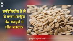 Health News: ਡਾਇਬਿਟੀਜ਼ ਤੋਂ ਲੈ ਕੇ ਭਾਰ ਘਟਾਉਣ ਤੱਕ ਖਰਬੂਜੇ ਦੇ ਬੀਜ ਵਰਦਾਨ, ਜਾਣੋ ਵਰਤੋਂ ਦਾ ਸਹੀ ਤਰੀਕਾ