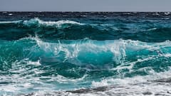 How Many Oceans: জল নিয়ে বিবাদ আন্তর্জাতিক মহলে, আসলে পৃথিবীতে মহাসাগরের সংখ্যা কত?