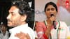 Sharmila About Attack on Jagan: ఏపీ సీఎం జగన్‌పై జరిగిన దాడిపై స్పందించిన షర్మిల, ఏమన్నారంటే!