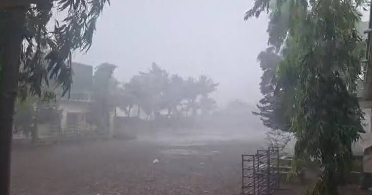 Unseasonal Rainfall News: kutch, sabarkantha, banaskantha, amreli and dwarka fall unseasonal rain, local news Unseasonal Rain: ઉનાળાની ભરબપોરે કચ્છમાં માવઠું, દ્વારકા-અમરેલી, સાબરકાંઠામાં પણ કમોસમી વરસાદ, કેરીના પાકને નુકસાન