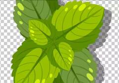 Mint Water: ਗਰਮੀਆਂ 'ਚ ਜ਼ਰੂਰ ਪੀਓ ਪੁਦੀਨੇ ਦਾ ਪਾਣੀ, ਪੇਟ ਦੀਆਂ ਇਨ੍ਹਾਂ ਸਮੱਸਿਆਵਾਂ ਤੋਂ ਮਿਲੇਗਾ ਆਰਾਮ