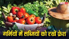 गर्मियों में जल्दी खराब हो जाती हैं सब्जियां, फ्रेश रखने के लिए फॉलो करें ये टिप्स