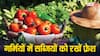 गर्मियों में जल्दी खराब हो जाती हैं सब्जियां, फ्रेश रखने के लिए फॉलो करें ये टिप्स