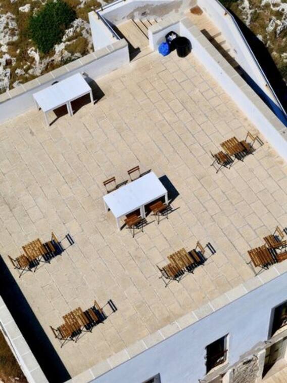 छत पर खेती से कैसे पैसे कमाएं?