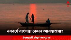 WB Weather: কড়া রোদ কলকাতায়! নববর্ষের প্রথম দিন বাংলার কোন জেলায় কেমন আবহাওয়া?