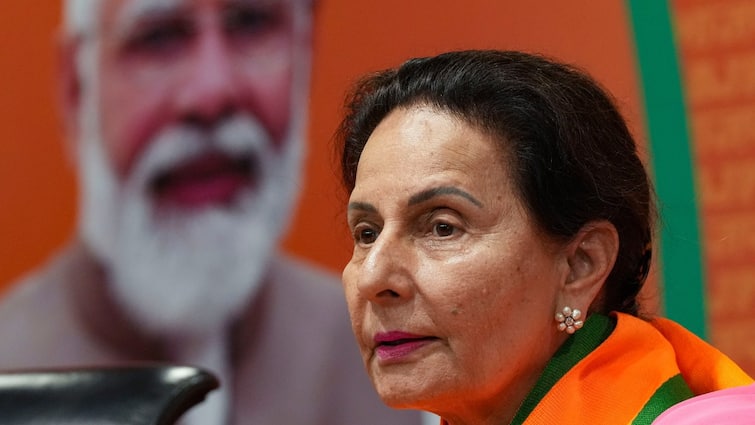 Preneet Kaur Proven Black flags As BJP Candidates In Punjab Proceed To Face Protests