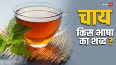 हिंदी में चाय को क्या बोलते हैं? आज जानिए ये किस भाषा का शब्द है?