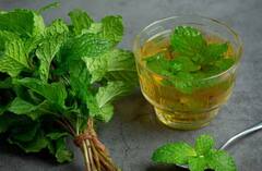 Mint Water: ਗਰਮੀਆਂ 'ਚ ਜ਼ਰੂਰ ਪੀਓ ਪੁਦੀਨੇ ਦਾ ਪਾਣੀ, ਪੇਟ ਦੀਆਂ ਇਨ੍ਹਾਂ ਸਮੱਸਿਆਵਾਂ ਤੋਂ ਮਿਲੇਗਾ ਆਰਾਮ