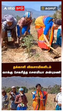 தக்காளி விவசாயிகளிடம் வாக்கு சேகரித்த செளமியா அன்புமணி