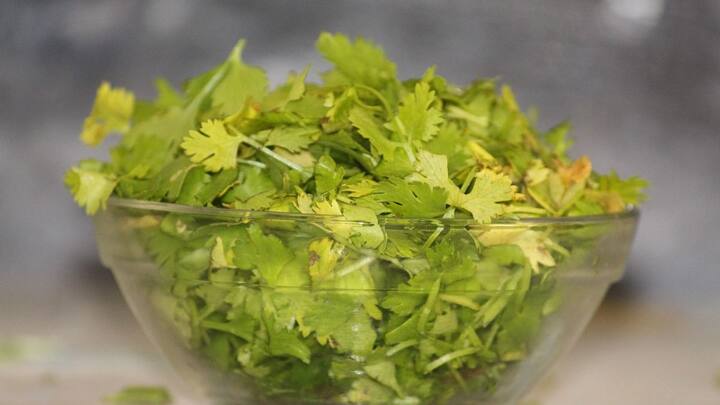 Coriander Leaves: