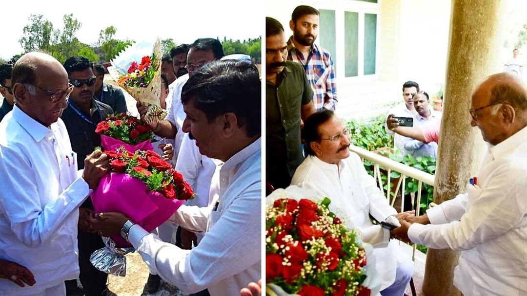 Dhairyasheel Mohite-Patil : माढ्यात शरद पवारांनी निर्णायक डाव टाकलाच; धैर्यशील मोहिते पाटलांचा राष्ट्रवादीत प्रवेश, माढ्यात गणिते बदलली Dhairyasheel Mohite Patil has joined the NCP Sharchandra Pawar party in presence of jayant patil sharad pawar madha loksabha Dhairyasheel Mohite-Patil : माढ्यात शरद पवारांनी निर्णायक डाव टाकलाच; धैर्यशील मोहिते पाटलांचा राष्ट्रवादीत प्रवेश, माढ्यात गणिते बदलली