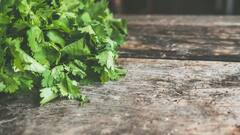 Coriander Leaves: கொத்தமல்லி இலை ஃப்ரெஷாக இருக்க என்ன செய்யலாம்? இதோ டிப்ஸ்!