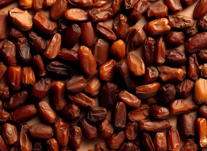 ਹੁਣ ਇੱਕ ਗਮਲਾ ਲਓ ਅਤੇ ਇਸ ਨੂੰ ਗਿੱਲੀ ਰੇਤ ਅਤੇ ਮਿੱਟੀ ਨਾਲ ਭਰ ਦਿਓ। ਹੁਣ ਇਸ ਮਿਸ਼ਰਣ ਵਿੱਚ ਬੀਜਾਂ ਨੂੰ 1 ਇੰਚ ਦੀ ਡੂੰਘਾਈ ਵਿੱਚ ਬੀਜੋ। ਫਿਰ ਗਮਲੇ ਨੂੰ ਗਰਮ ਅਤੇ ਧੁੱਪ ਵਾਲੀ ਥਾਂ 'ਤੇ ਰੱਖੋ। ਧਿਆਨ ਰੱਖੋ ਕਿ ਮਿੱਟੀ ਨਮੀ ਵਾਲੀ ਰਹੇ। ਬੀਜਾਂ ਨੂੰ ਉਗਣ ਵਿੱਚ 2-4 ਹਫ਼ਤੇ ਦਾ ਸਮਾਂ ਲੱਗ ਸਕਦਾ ਹੈ।