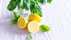 Weight Loss Diet: ওজন কমাতে কড়া ডায়েটে রয়েছেন? গরমের দিনে কী কী খেলে উপকার পাবেন? দেখে নিন তালিকা